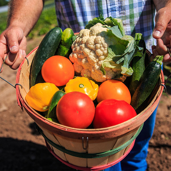 Basket of fresh vegetables